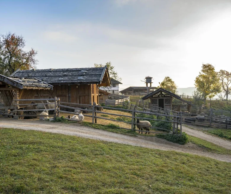 © suedtirol.info/Tierwelt Rainguthof