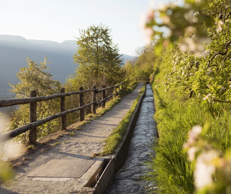 © IDM Südtirol-Alto Adige/Patrick Schwienbacher