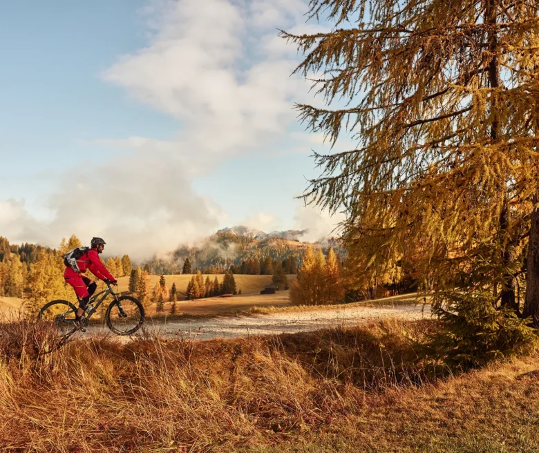 © IDM Südtirol-Alto Adige/Andreas Mierswa