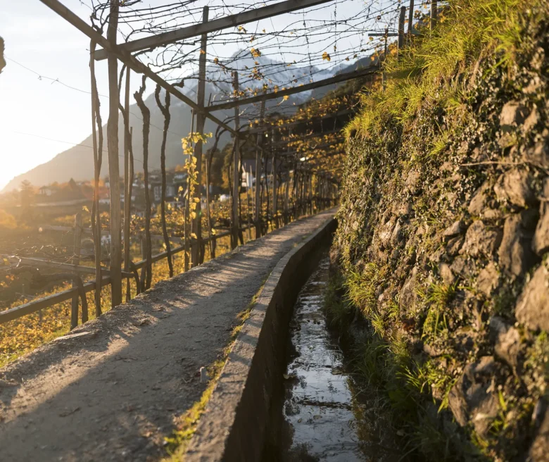 © IDM Südtirol-Alto Adige/Patrick Schwienbacher